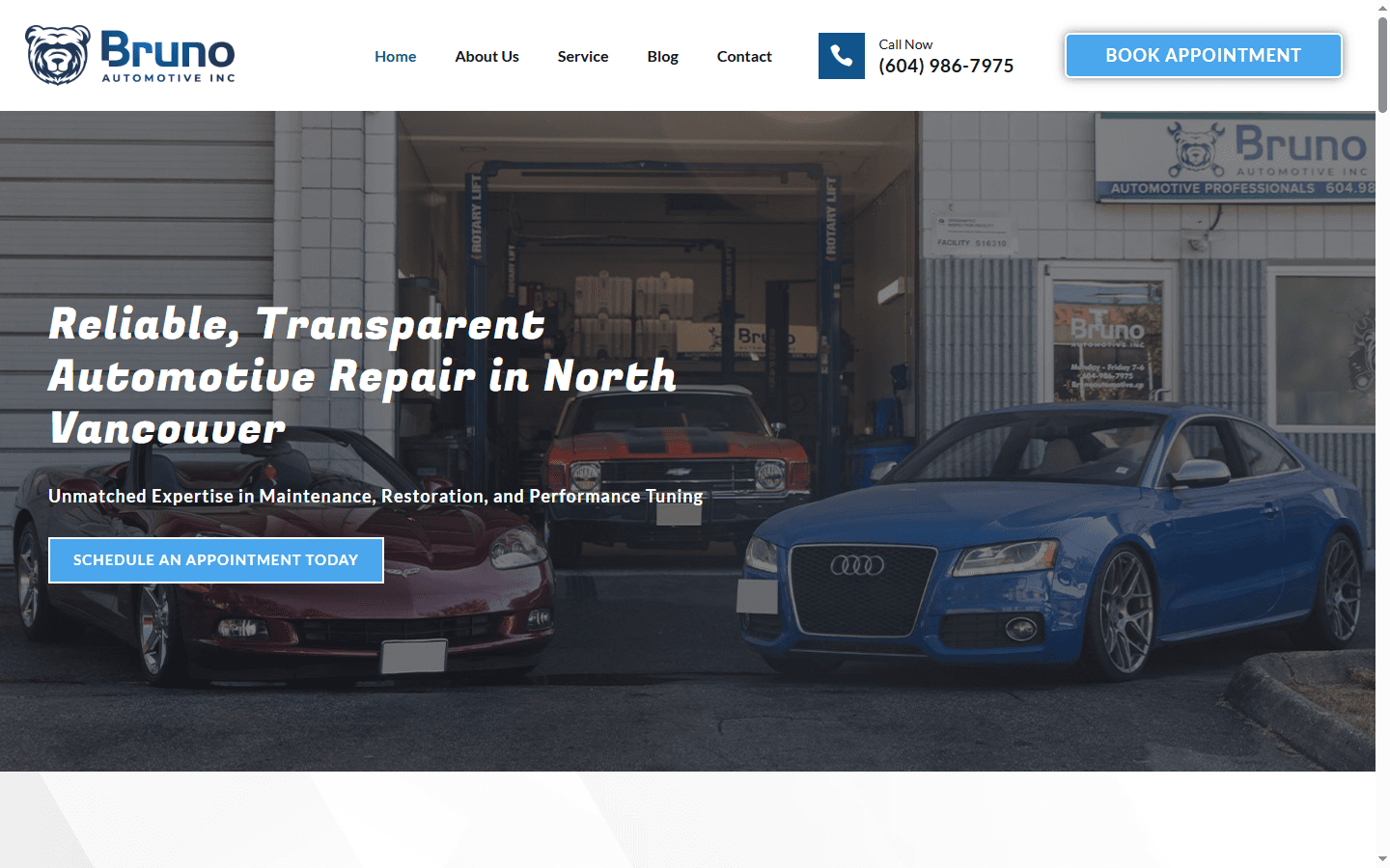 Bruno Automotive case study